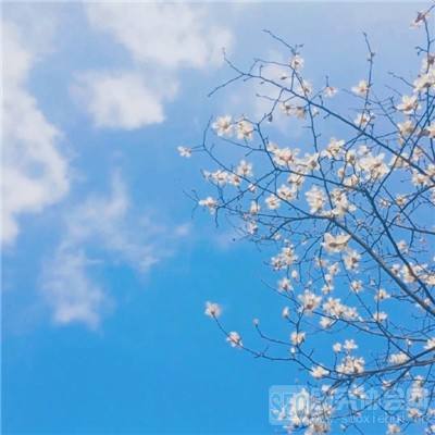 泰服英雄联盟汉化手游下载