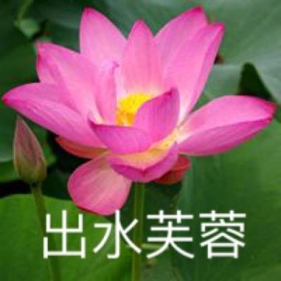 qq大话神仙下载