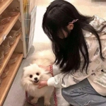 龙珠传奇之无间道手游下载